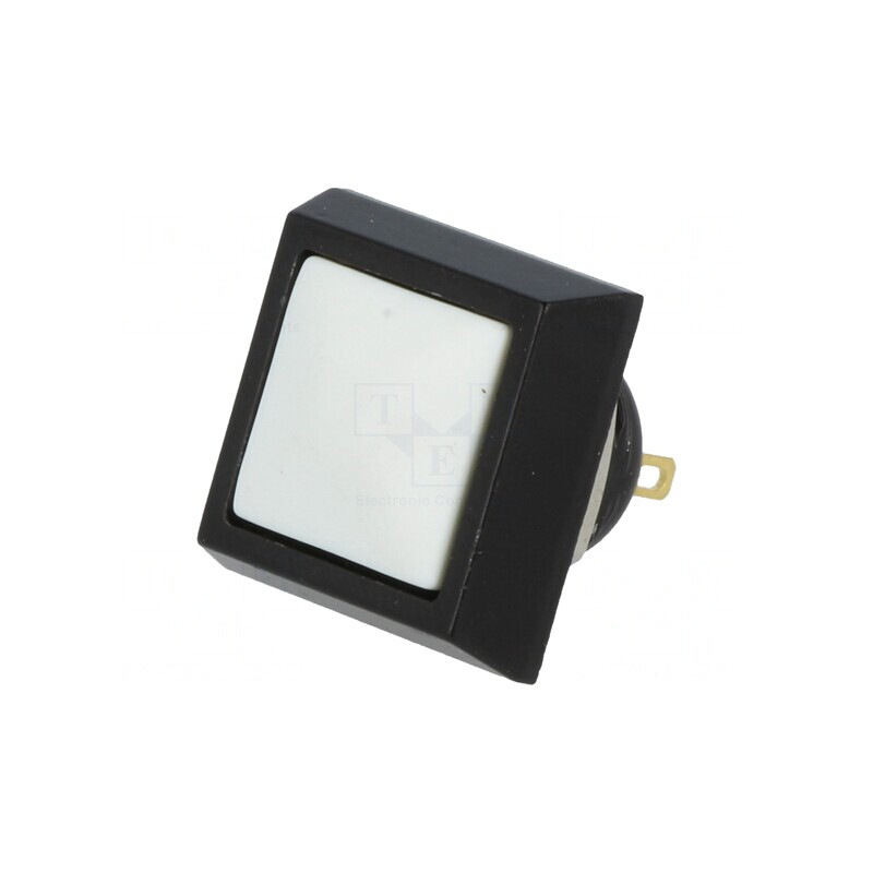 Comutator Anti-Vandalism 2A 36VDC IP65 | Electronic-mag.ro | Componente Electronice