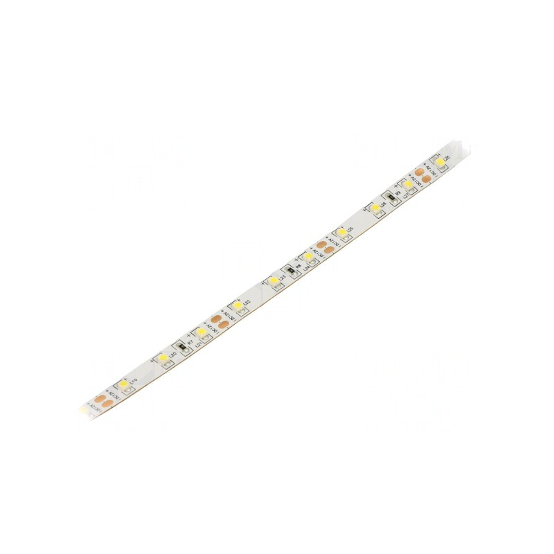 Bandă LED alb rece 3528 12V 60 LED/m 8mm IP20 | Electronic-mag.ro | Componente Electronice