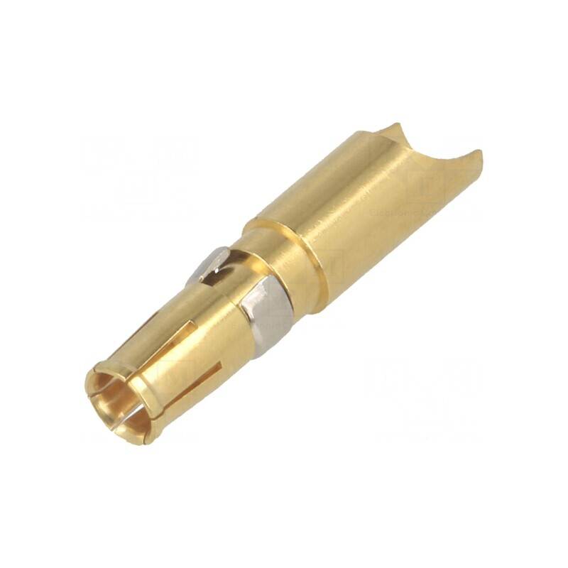 Conector Pin Mamă Aurit 10AWG-8AWG 40A | Electronic-mag.ro | Componente Electronice Conector Pin Mamă Aurit 10AWG-8AWG 40A | Electronic-mag.ro | Componente Electronice