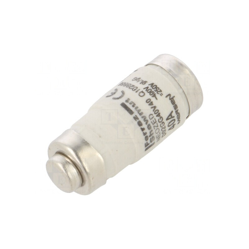 Siguranță Industrială gG 40A 400VAC 250VDC D02 | Electronic-mag.ro | Componente Electronice