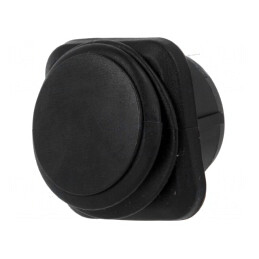 Rocker Switch ON-OFF 10A 250VAC 25A 12VDC Black IP65 | Electronic-mag.ro | Componente Electronice