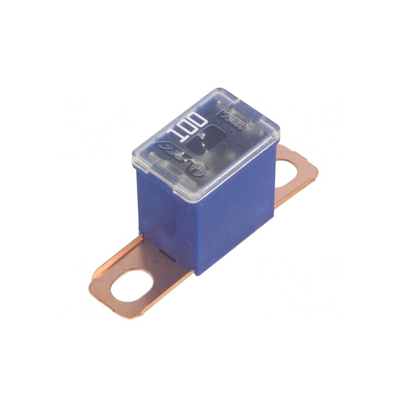 Siguranță auto 100A JAPVAL | Electronic-mag.ro | Componente Electronice