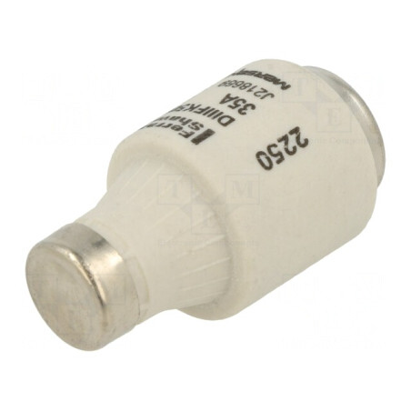 Siguranță Industrială gG 35A 500V DIII | Electronic-mag.ro | Componente Electronice