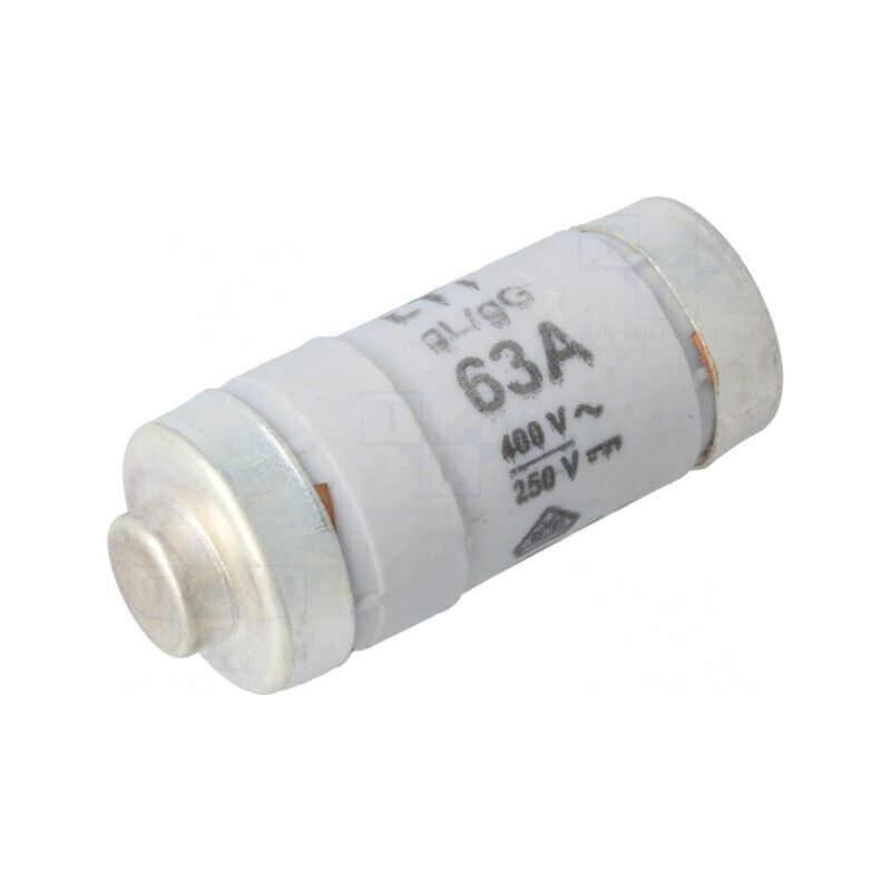 Siguranță Industrială gG/gL 63A 400V 250V D02 | Electronic-mag.ro | Componente Electronice