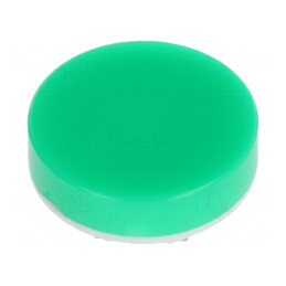 Capison Verde-Alb Seria LB 19x9mm | Electronic-mag.ro | Componente Electronice