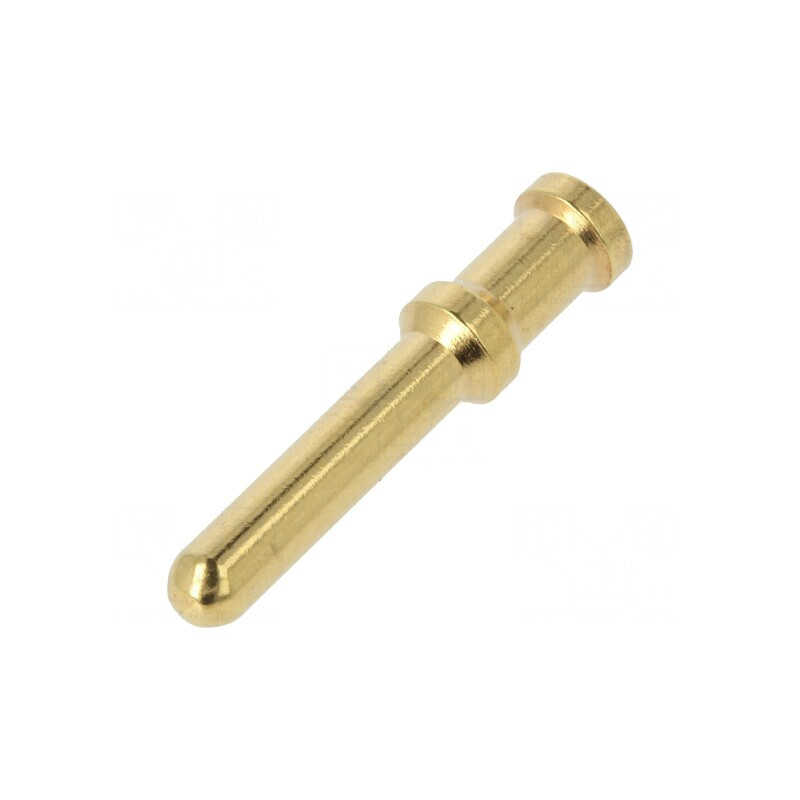 Pin Tată Aurit 6mm2 10AWG Crimpat 40A | Electronic-mag.ro | Componente Electronice Pin Tată Aurit 6mm2 10AWG Crimpat 40A | Electronic-mag.ro | Componente Electronice