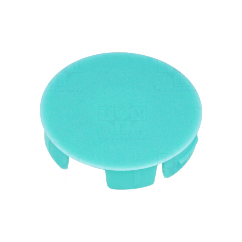 Capac Poliamidă Verde Celadon Apăsare | Electronic-mag.ro | Componente Electronice