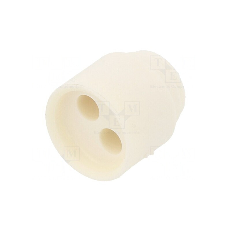 Insert presetupă 3mm NPT3/8 elastomer 2 orificii | Electronic-mag.ro | Componente Electronice