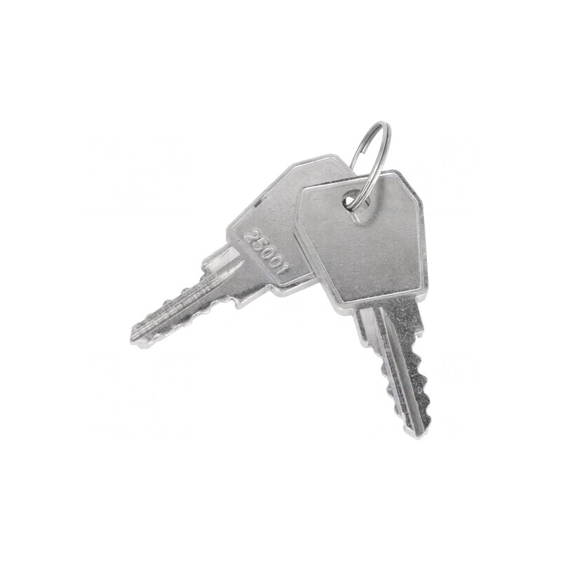 Cheie Cod 25001 pentru Z-2106 | Electronic-mag.ro | Componente Electronice