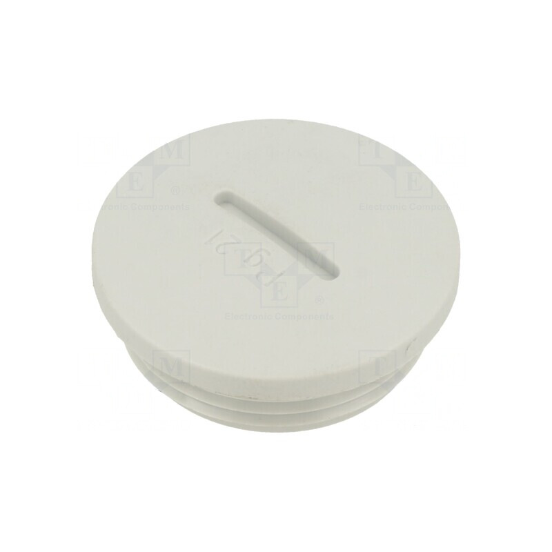 Capac de Protecție Poliamidă PG21 | Electronic-mag.ro | Componente Electronice
