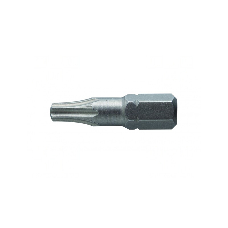 Capăt de şurubelniţă Torx TX10 25mm 2buc | Electronic-mag.ro | Componente Electronice Capăt de şurubelniţă Torx TX10 25mm 2buc | Electronic-mag.ro | Componente Electronice