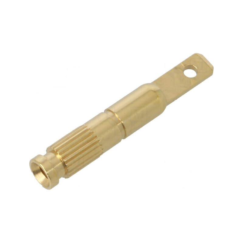 Soclu Banană Aurit 2mm 10A 30V/60V | Electronic-mag.ro | Componente Electronice Soclu Banană Aurit 2mm 10A 30V/60V | Electronic-mag.ro | Componente Electronice