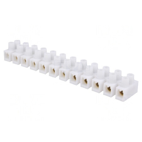 Regletă de Conexiuni cu Șurub 6mm² 400V Albă | Electronic-mag.ro | Componente Electronice
