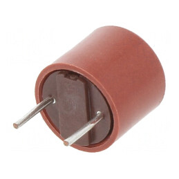 Siguranţă întârziere 2A 250V THT TR5 cupru | Electronic-mag.ro | Componente Electronice