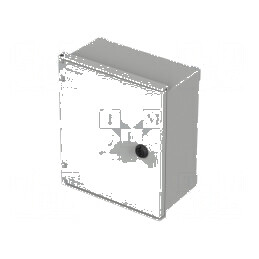 Carcasă montare pe perete Polysafe 250x300x140mm | Electronic-mag.ro | Componente Electronice