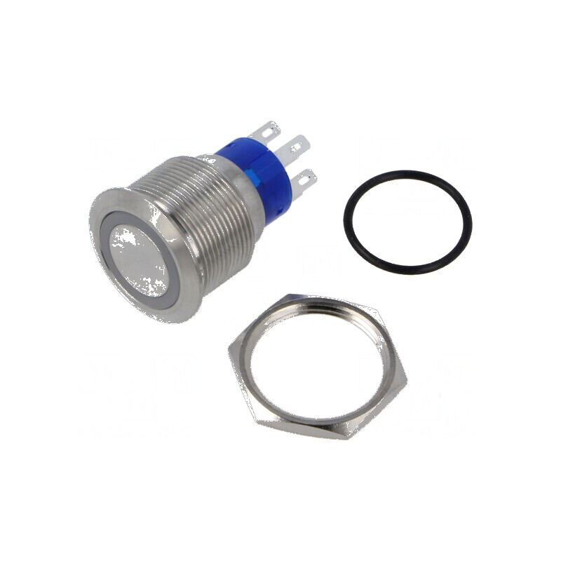 Comutator anti-vandalism IP67 DPST 3A/250VAC | Electronic-mag.ro | Componente Electronice