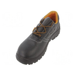 Pantofi Dimensiune: 42 | Electronic-mag.ro | Componente Electronice