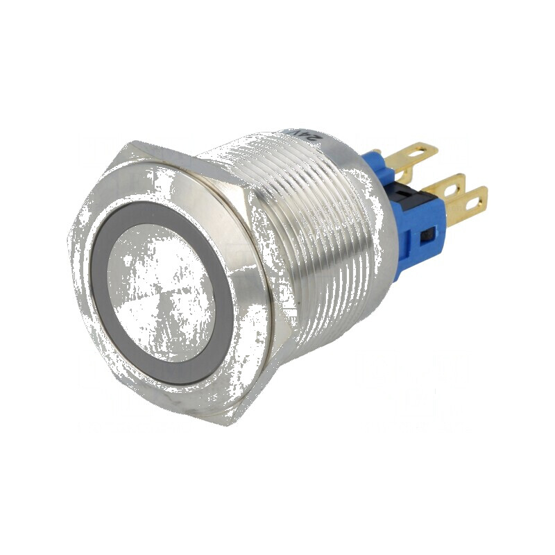 Comutator anti-vandalism cu două poziții | Electronic-mag.ro | Componente Electronice