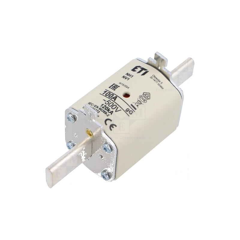 Siguranţă ceramică gG 100A 500VAC industrială NH1 | Electronic-mag.ro | Componente Electronice