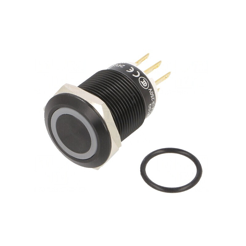 Comutator anti-vandalism Poz 2 SPDT 3A 220VAC 5A 24VDC IP65 | Electronic-mag.ro | Componente Electronice