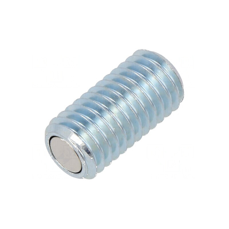 Şurub de presiune M10 20mm Cl.rezist: 5.8 cu magnet | Electronic-mag.ro | Componente Electronice