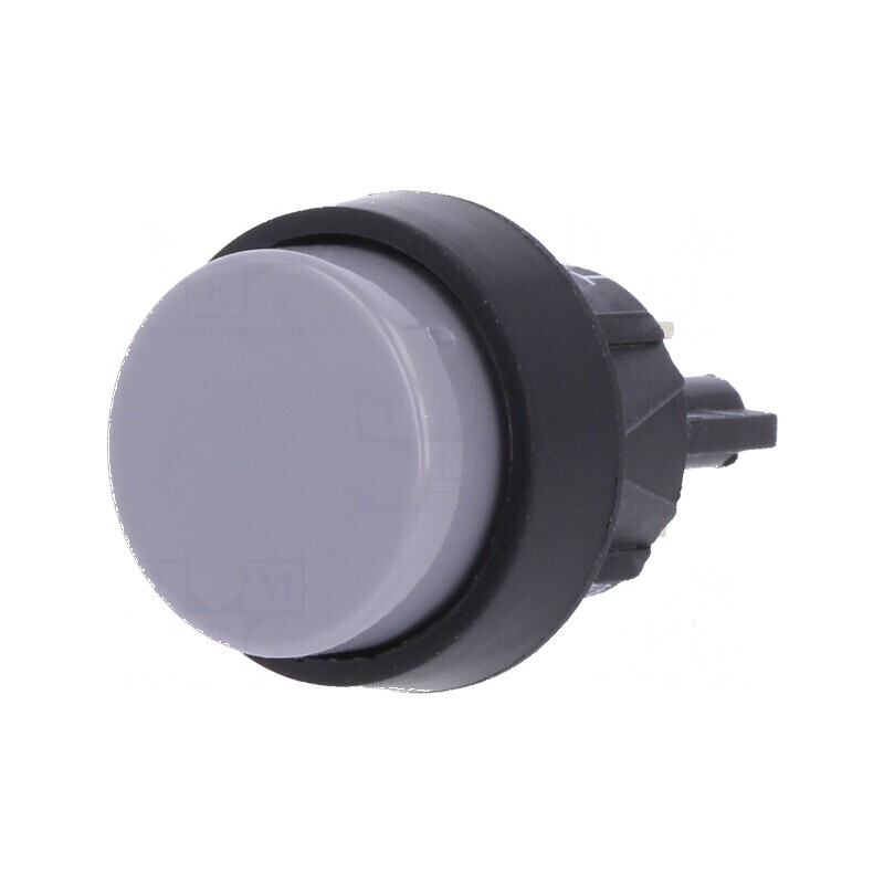 Comutator apăsare Poz 2 SPST-NO 2A 250VAC IP40 | Electronic-mag.ro | Componente Electronice