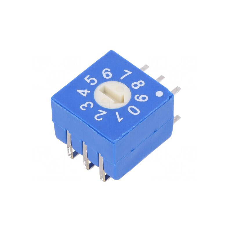 Întrerupător codificare DEC/BCD THT Poz: 10 Rizol 1000MΩ | Electronic-mag.ro | Componente Electronice