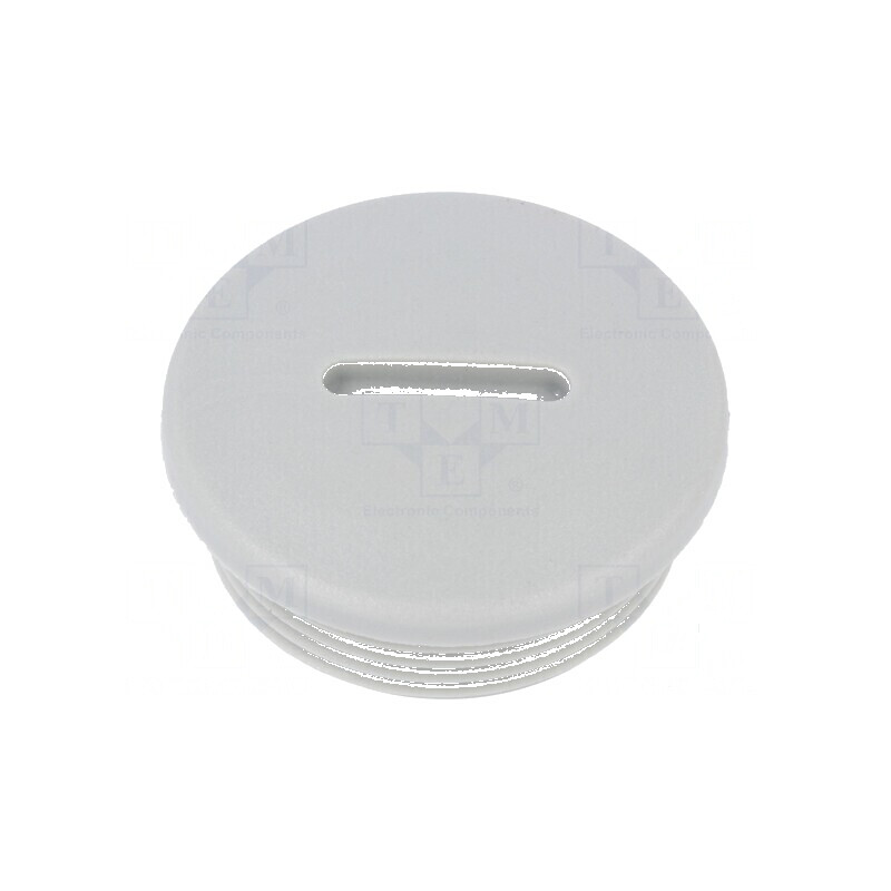 Capac de protecţie M32 1,5 IP54 din poliamidă gri V-N-FS cu dimensiunea de 11mm | Electronic-mag.ro | Componente Electronice