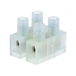 Regletă de conexiuni terminal cu şurub 4mm² 400V - 2 piste | Electronic-mag.ro | Componente Electronice