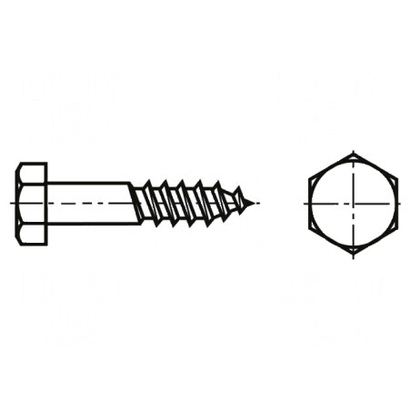 Şurub pentru lemn 10x50 mm cu cap hexagonal, oţel zincat, BN 968 | Electronic-mag.ro | Componente Electronice