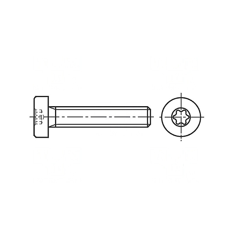 Şurub M6x30 Torx TX30 cap rotund inox A2 | Electronic-mag.ro | Componente Electronice