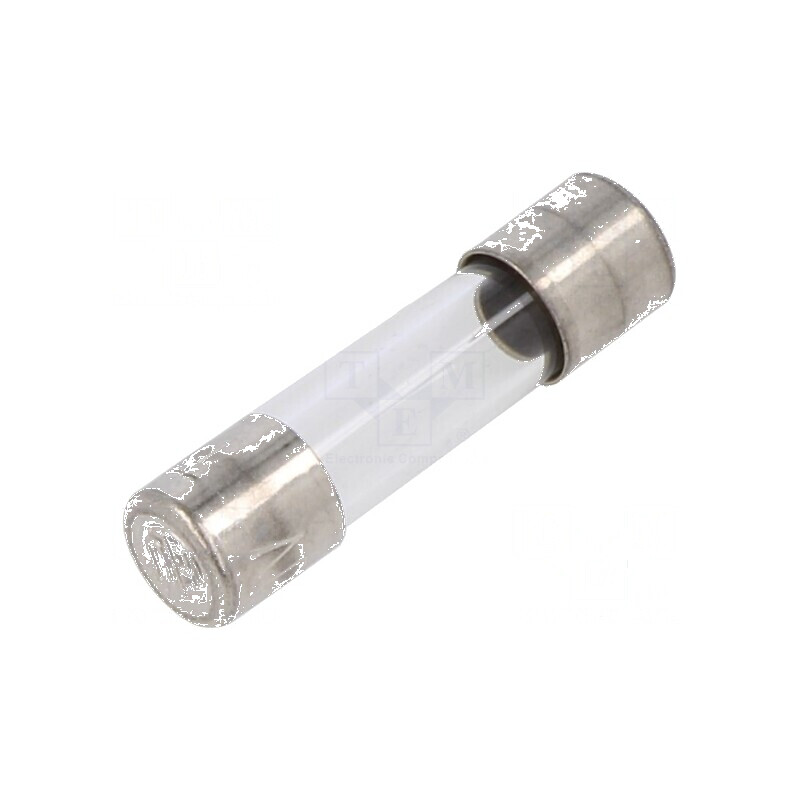 Siguranţă întârziere 10A 250VAC | Electronic-mag.ro | Componente Electronice