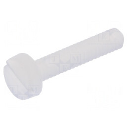 Şurub M2x10mm cu cap rotund crestat din poliamidă | Electronic-mag.ro | Componente Electronice