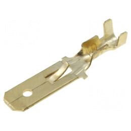Terminal plat 6,3mm 1-2,5mm² clichet tată | Electronic-mag.ro | Componente Electronice