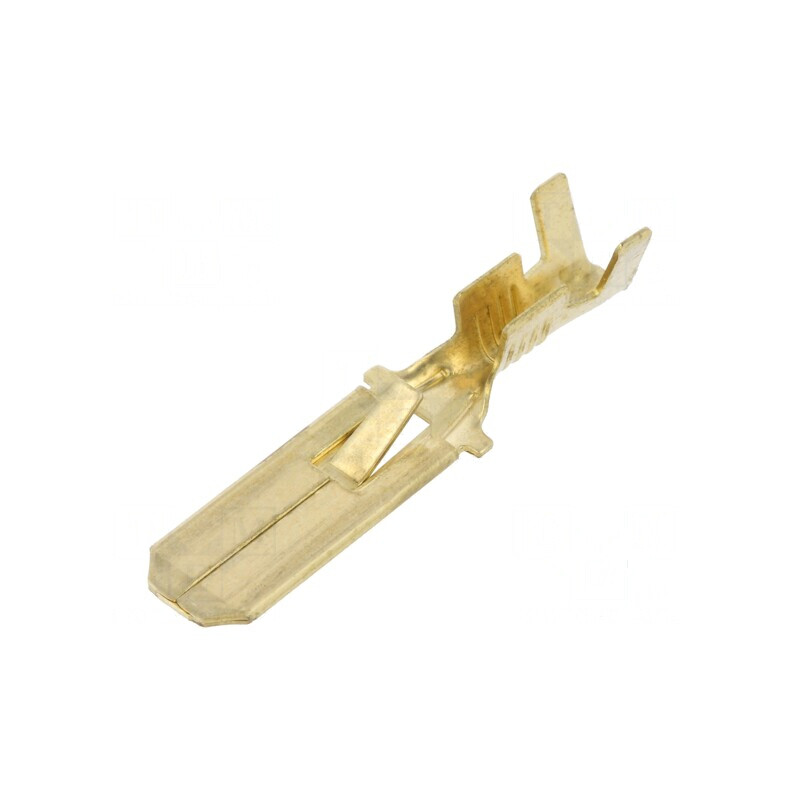 Terminal plat 6,3mm tată 0,75-2mm² crimpat pe cablu | Electronic-mag.ro | Componente Electronice Terminal plat 6,3mm tată 0,75-2mm² crimpat pe cablu | Electronic-mag.ro | Componente Electronice