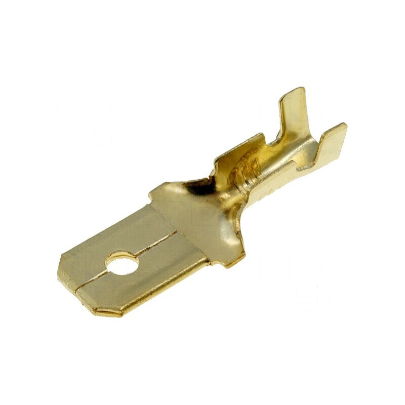 Terminal plat 6,3mm 1÷2,5mm² aurit tată pe cablu crimpate | Electronic-mag.ro | Componente Electronice Terminal plat 6,3mm 1÷2,5mm² aurit tată pe cablu crimpate | Electronic-mag.ro | Componente Electronice
