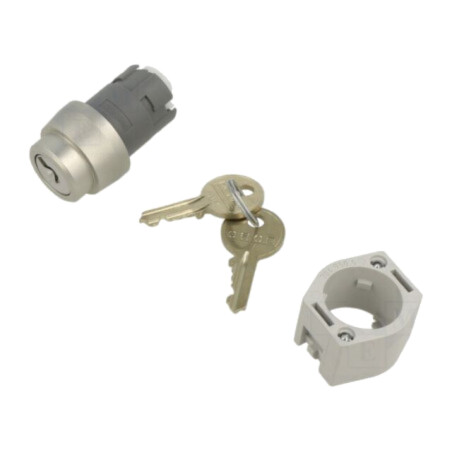 Comutator: rotativ cu cheie; 22mm; Poz.i stab: 2; argintie; fără