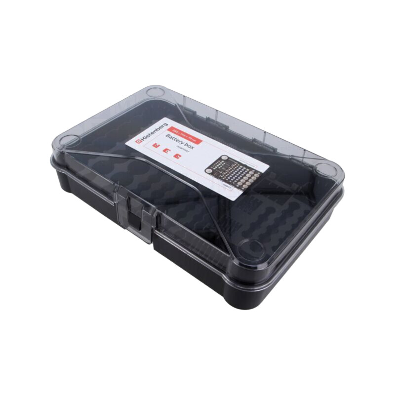 Organizator; 295x195x70mm; pentru baterii
