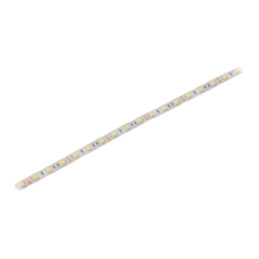 Bandă LED; alb rece; 5050; LED/m: 60; 10mm; PCB albe; IP64; 120°
