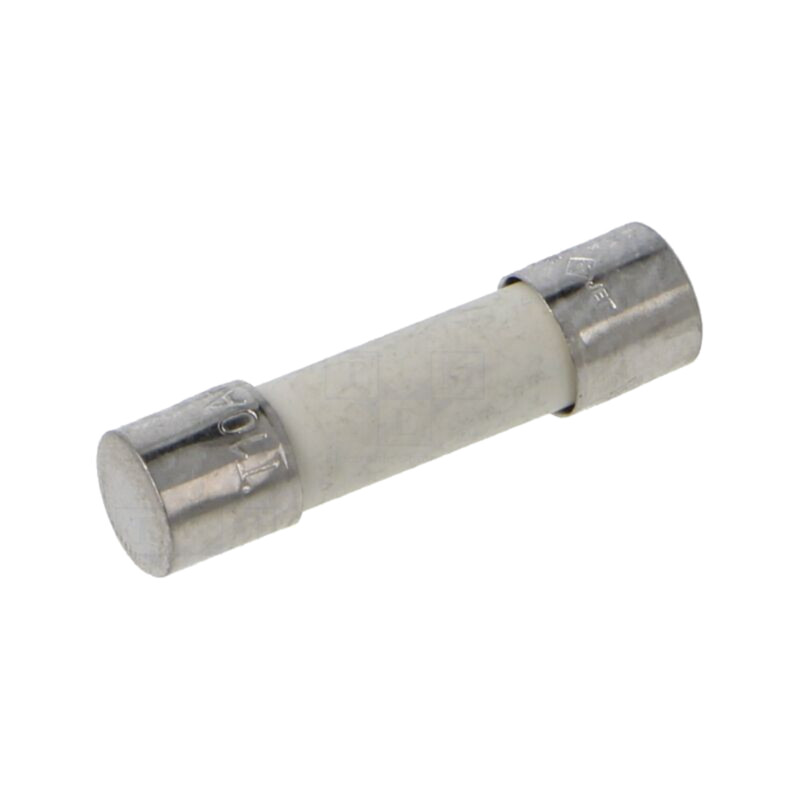 Siguranţă: siguranţă; întârziere; 10A; 250VAC; 5x20mm; alamă; S505
