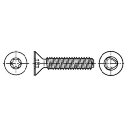 Şurub; 6x30; Cap: îngropat; Torx®; TX30; oțel inoxidabil A2
