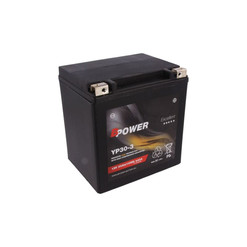 Acumul: plumb-acid; 12V; 30Ah; AGM; 169x131x175mm; 440A; 9,9kg