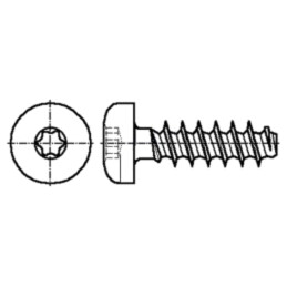 Şurub; pt.plastic; 3,5x10; Cap: cap rotund; Torx®; TX10; oţel; zinc