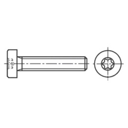 Şurub; M6x25; 1; Cap: cap rotund; Torx®; TX30; oțel inoxidabil A2