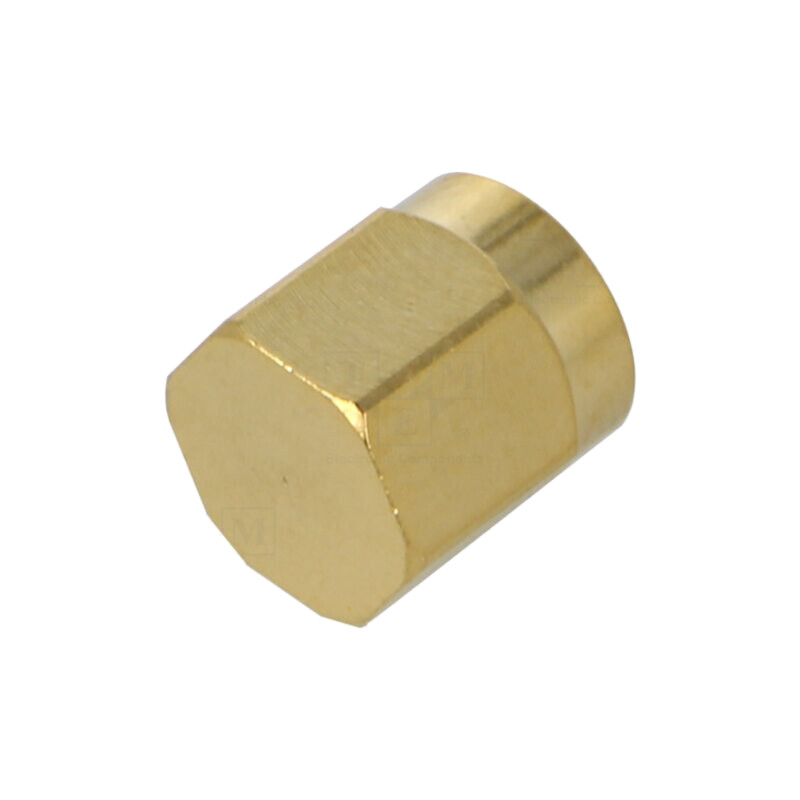 Accesorii: capac protecţie; lănţişor; aurit; IP67