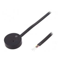 Cititor RFID 12V 1-wire 40mm 160mA | Electronic-mag.ro | Componente Electronice