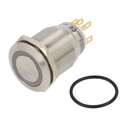 Comutator Anti-Vandalism IP65 SPDT 3A/220VAC 5A/24VDC | Electronic-mag.ro | Componente Electronice