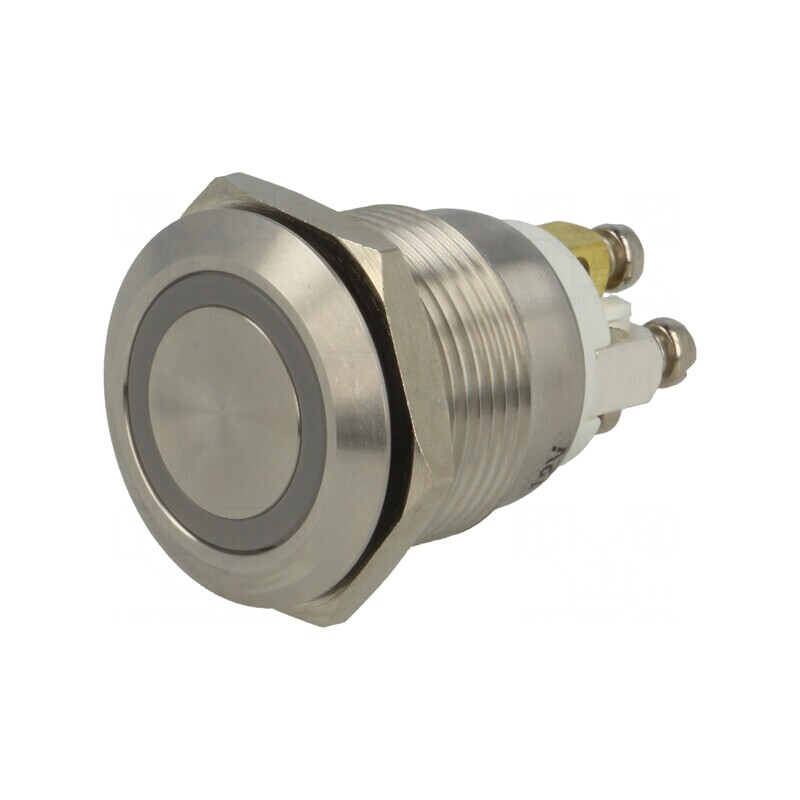 Comutator Anti-Vandalism 2 SPST-NO 2A 36VDC IP65 Ø19mm DUAL LED 12V | Electronic-mag.ro | Componente Electronice