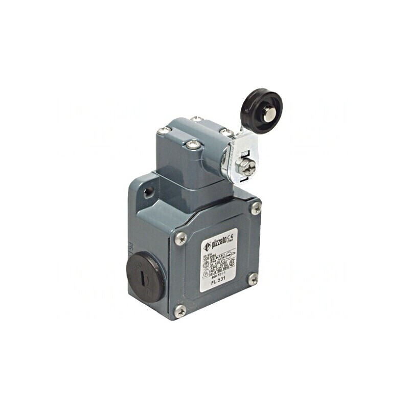 Limitator Cursă Manetă 40mm cu Rola Plastic 20mm 10A | Electronic-mag.ro | Componente Electronice