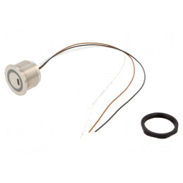 "Comutator Anti-Vandalism SPST IP67 0,1A 42VAC/60VDC" | Electronic-mag.ro | Componente Electronice